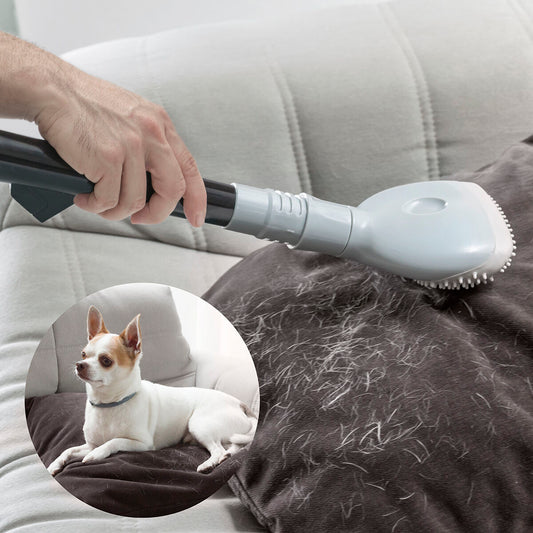 Fixrein PetBrush™ – Tierhaar-Aufsatz für Staubsauger