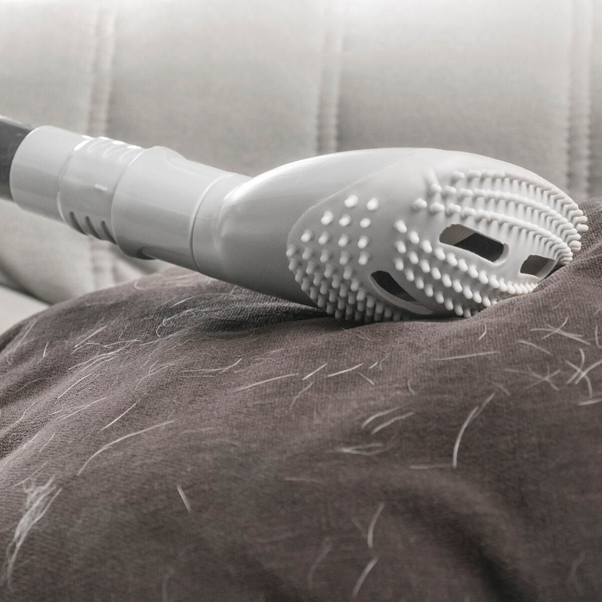 Fixrein PetBrush™ – Tierhaar-Aufsatz für Staubsauger